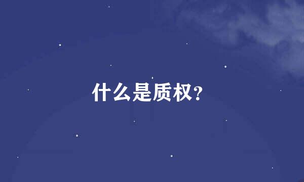 什么是质权？