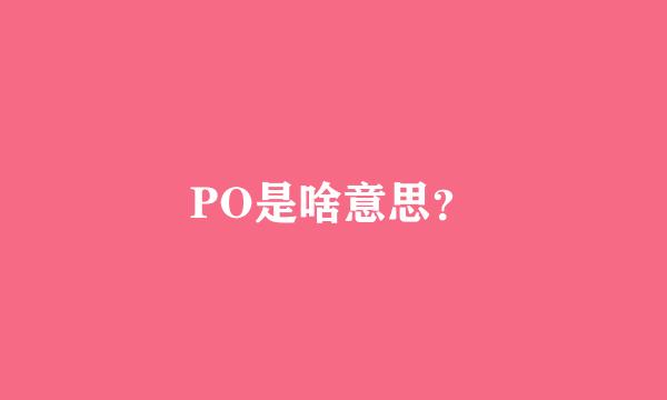 PO是啥意思？