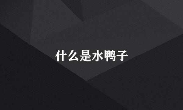 什么是水鸭子