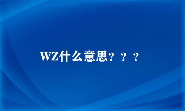 WZ什么意思？？？