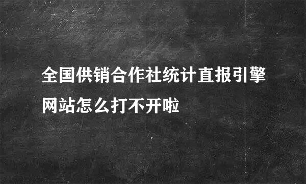 全国供销合作社统计直报引擎网站怎么打不开啦