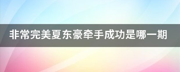 非常完美夏东豪牵手成功是哪一期