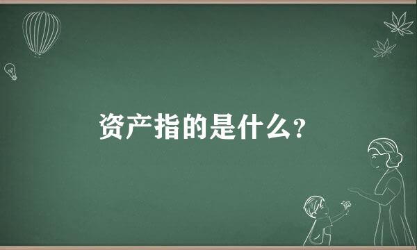 资产指的是什么？