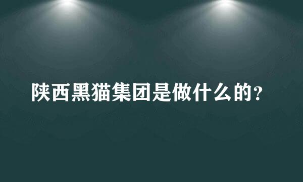 陕西黑猫集团是做什么的？