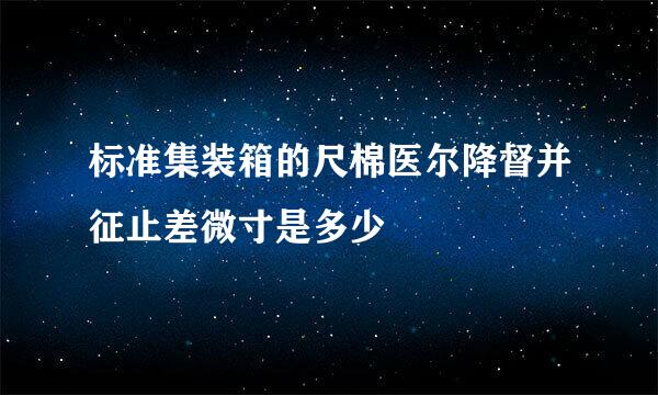 标准集装箱的尺棉医尔降督并征止差微寸是多少