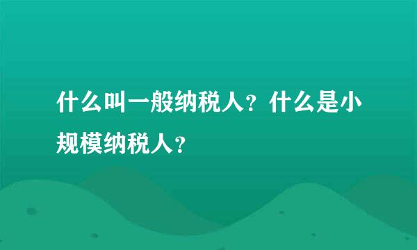 什么叫一般纳税人？什么是小规模纳税人？