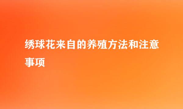 绣球花来自的养殖方法和注意事项