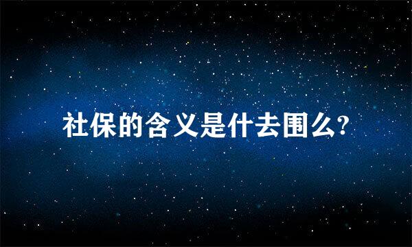 社保的含义是什去围么?