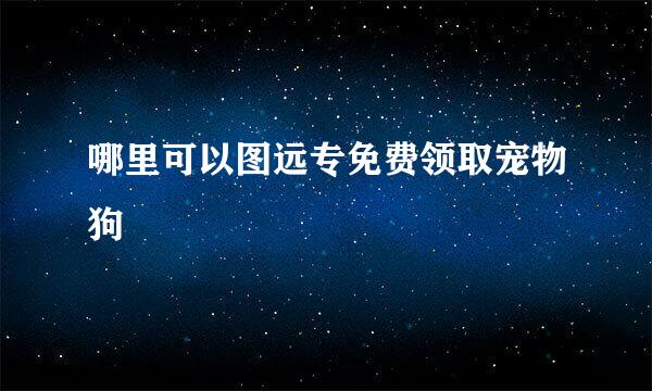 哪里可以图远专免费领取宠物狗