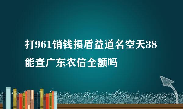 打961销钱损盾益道名空天38能查广东农信全额吗