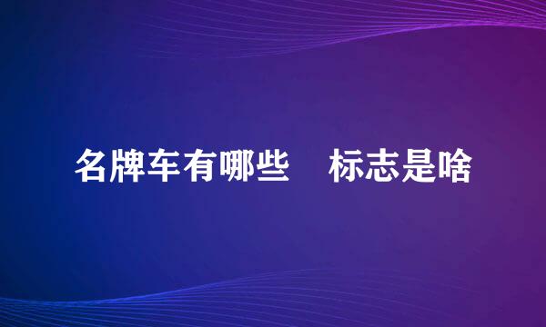 名牌车有哪些 标志是啥