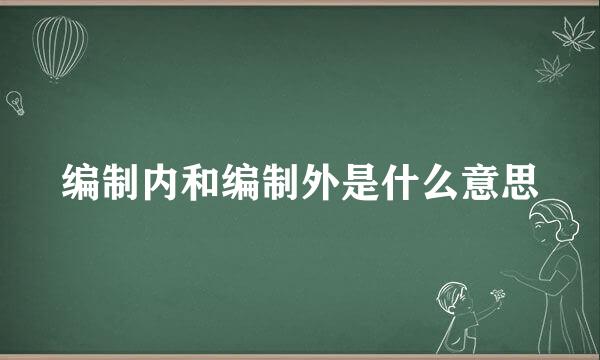 编制内和编制外是什么意思