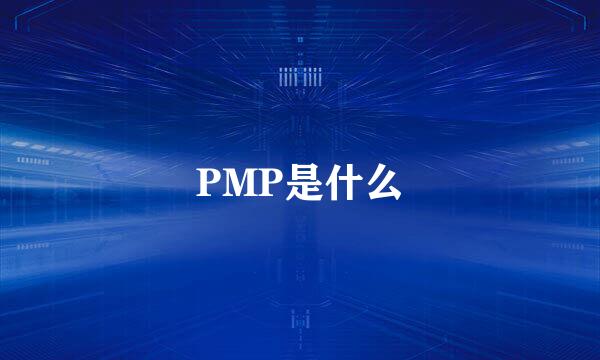 PMP是什么