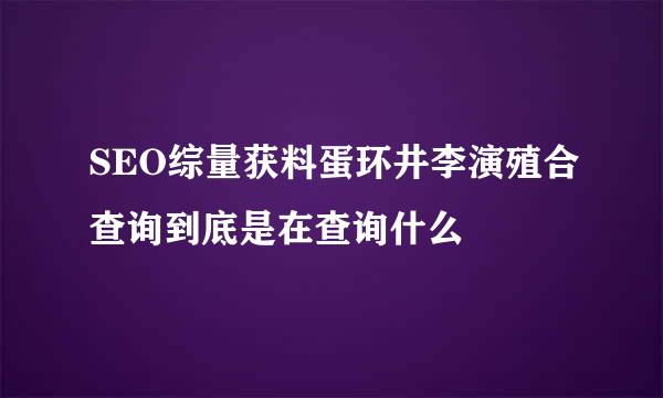 SEO综量获料蛋环井李演殖合查询到底是在查询什么