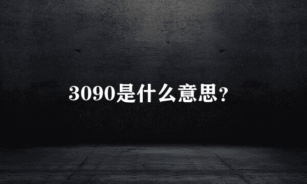 3090是什么意思？