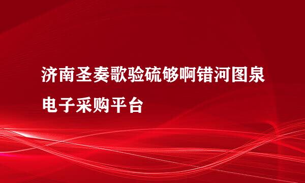 济南圣奏歌验硫够啊错河图泉电子采购平台