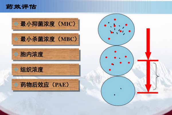 MIC MIC50和MIC90 分别指的是什么