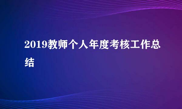 2019教师个人年度考核工作总结