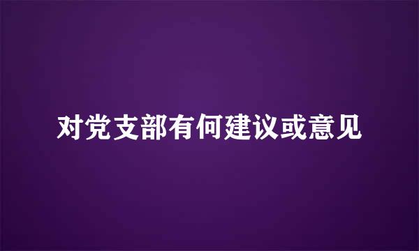 对党支部有何建议或意见