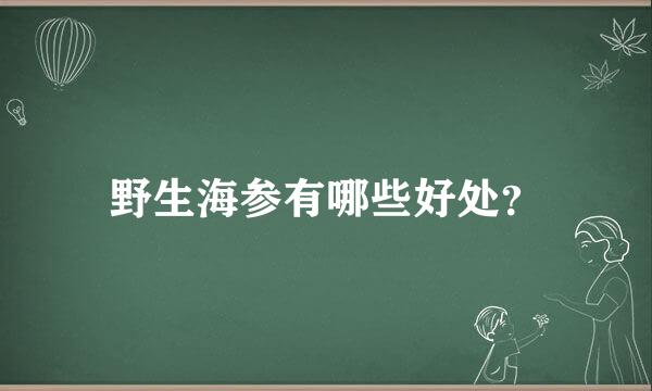 野生海参有哪些好处？