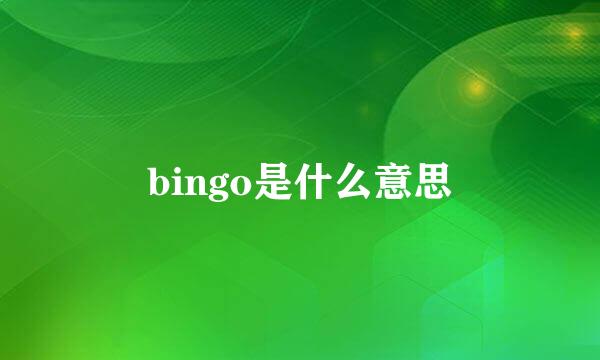 bingo是什么意思