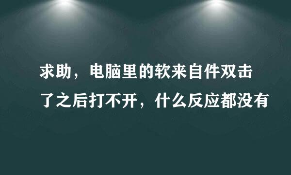 求助，电脑里的软来自件双击了之后打不开，什么反应都没有