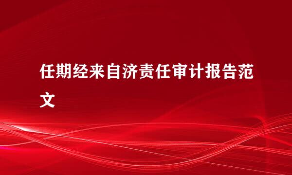 任期经来自济责任审计报告范文