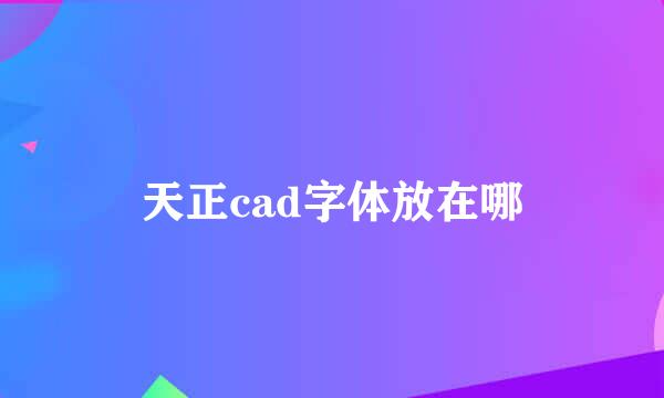 天正cad字体放在哪