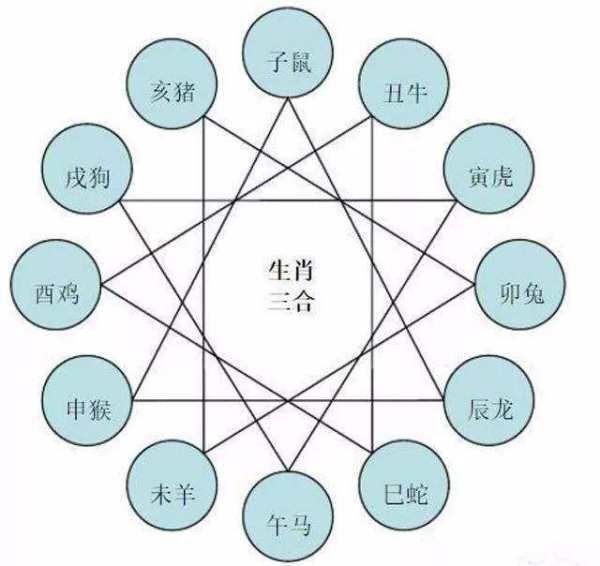 十二生肖属性相克表