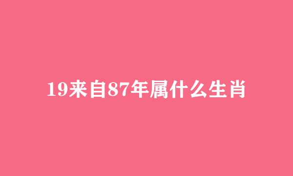 19来自87年属什么生肖