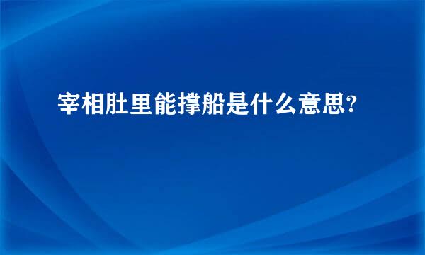 宰相肚里能撑船是什么意思?