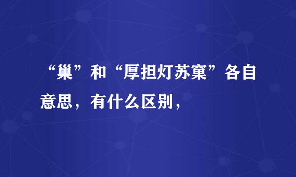 “巢”和“厚担灯苏窠”各自意思，有什么区别，