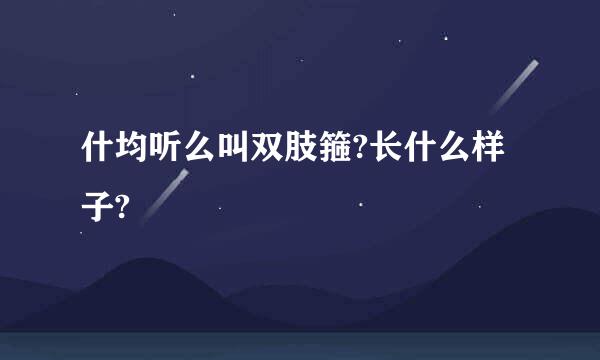 什均听么叫双肢箍?长什么样子?