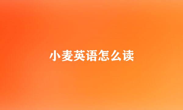 小麦英语怎么读