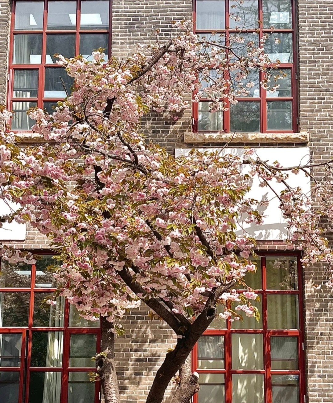 曲阜师范大学怎么样