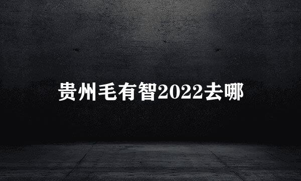 贵州毛有智2022去哪