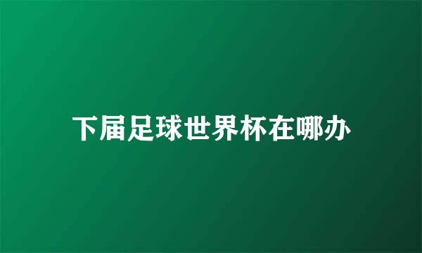 下届足球世界杯在哪办