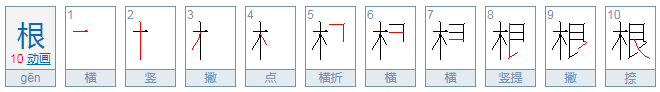 根的拼音是什么