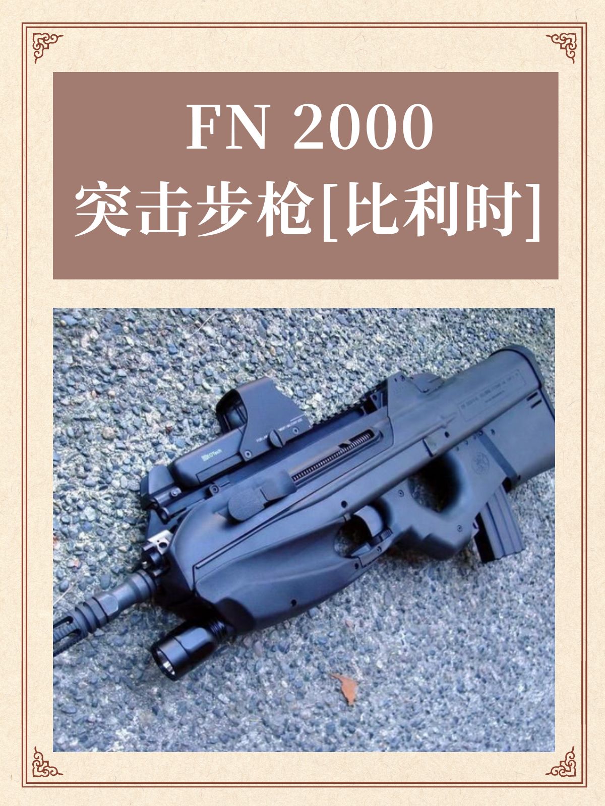 FN 2000突击步枪[比利时]