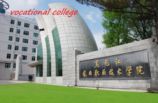 外国college和vocational college的区别