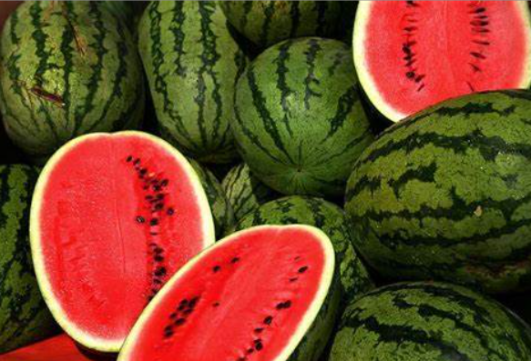 watermelon可数还是不可数?