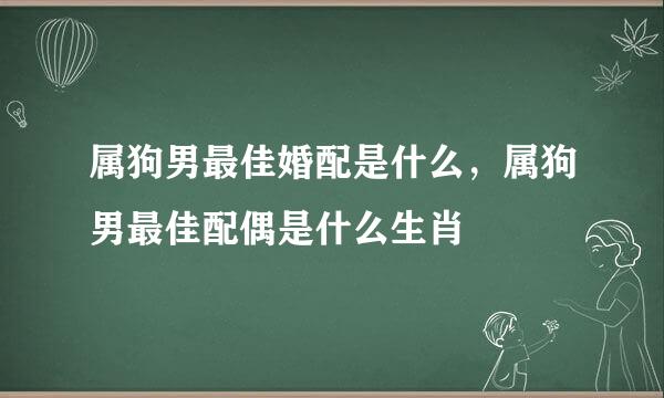 属狗男最佳婚配是什么，属狗男最佳配偶是什么生肖