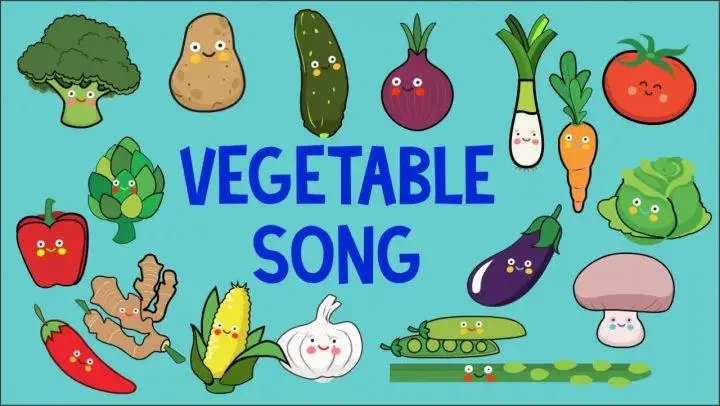 vegetable怎么读