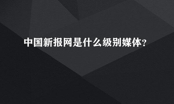 中国新报网是什么级别媒体？