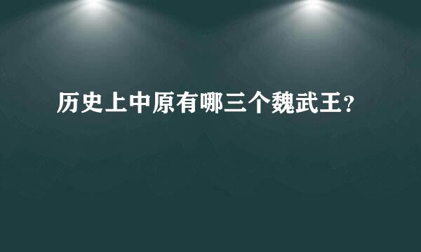 历史上中原有哪三个魏武王？