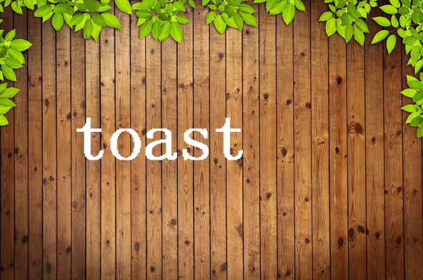 toast是什么意思英语