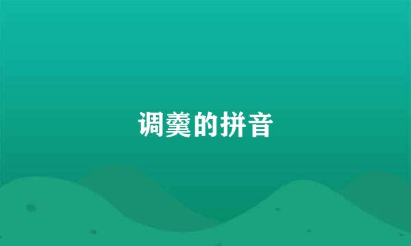 调羹的拼音