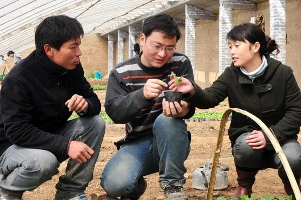 大学生村官怎么报名