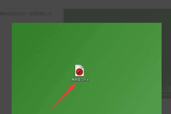 后缀为fla的文件是什么类型的文件，怎么打开？或用什么软件可打开？