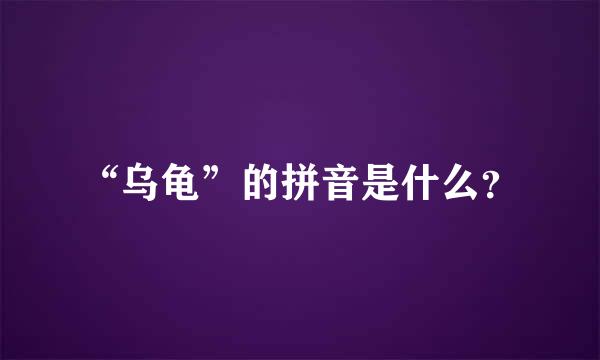 “乌龟”的拼音是什么？